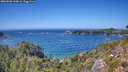 ./images/calvert/foggy-cove/20260820/foggy-cove20260820_144001M.jpg