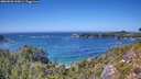 ./images/calvert/foggy-cove/20260820/foggy-cove20260820_145001M.jpg