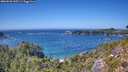 ./images/calvert/foggy-cove/20260820/foggy-cove20260820_145501M.jpg