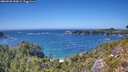 ./images/calvert/foggy-cove/20260820/foggy-cove20260820_150001M.jpg