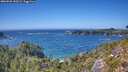 ./images/calvert/foggy-cove/20260820/foggy-cove20260820_150501M.jpg