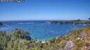 ./images/calvert/foggy-cove/20260820/foggy-cove20260820_151001M.jpg