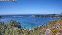 ./images/calvert/foggy-cove/20260820/foggy-cove20260820_152002M.jpg