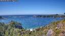 ./images/calvert/foggy-cove/20260820/foggy-cove20260820_153501M.jpg