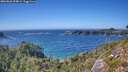 ./images/calvert/foggy-cove/20260820/foggy-cove20260820_154001M.jpg
