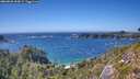 ./images/calvert/foggy-cove/20260820/foggy-cove20260820_154501M.jpg