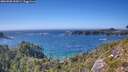 ./images/calvert/foggy-cove/20260820/foggy-cove20260820_162001M.jpg