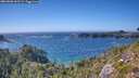 ./images/calvert/foggy-cove/20260820/foggy-cove20260820_163501M.jpg