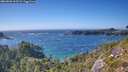 ./images/calvert/foggy-cove/20260820/foggy-cove20260820_165501M.jpg