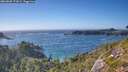 ./images/calvert/foggy-cove/20260820/foggy-cove20260820_172001M.jpg