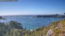 ./images/calvert/foggy-cove/20260820/foggy-cove20260820_172501M.jpg