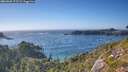 ./images/calvert/foggy-cove/20260820/foggy-cove20260820_173501M.jpg