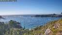 ./images/calvert/foggy-cove/20260820/foggy-cove20260820_174001M.jpg