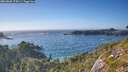 ./images/calvert/foggy-cove/20260820/foggy-cove20260820_174501M.jpg
