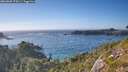 ./images/calvert/foggy-cove/20260820/foggy-cove20260820_175001M.jpg