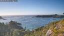 ./images/calvert/foggy-cove/20260820/foggy-cove20260820_181501M.jpg