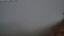 ./images/calvert/foggy-cove/20260821/foggy-cove20260821_060002M.jpg
