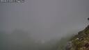 ./images/calvert/foggy-cove/20260821/foggy-cove20260821_060501M.jpg