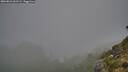 ./images/calvert/foggy-cove/20260821/foggy-cove20260821_061501M.jpg