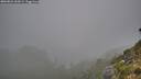 ./images/calvert/foggy-cove/20260821/foggy-cove20260821_062001M.jpg