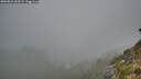 ./images/calvert/foggy-cove/20260821/foggy-cove20260821_062501M.jpg