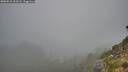 ./images/calvert/foggy-cove/20260821/foggy-cove20260821_063501M.jpg