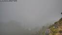 ./images/calvert/foggy-cove/20260821/foggy-cove20260821_064001M.jpg