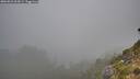 ./images/calvert/foggy-cove/20260821/foggy-cove20260821_064501M.jpg