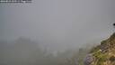 ./images/calvert/foggy-cove/20260821/foggy-cove20260821_065501M.jpg