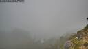 ./images/calvert/foggy-cove/20260821/foggy-cove20260821_070001M.jpg