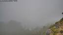 ./images/calvert/foggy-cove/20260821/foggy-cove20260821_070501M.jpg