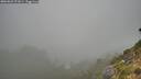 ./images/calvert/foggy-cove/20260821/foggy-cove20260821_071001M.jpg