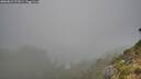./images/calvert/foggy-cove/20260821/foggy-cove20260821_072001M.jpg