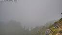 ./images/calvert/foggy-cove/20260821/foggy-cove20260821_072502M.jpg