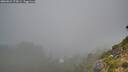 ./images/calvert/foggy-cove/20260821/foggy-cove20260821_073001M.jpg