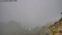 ./images/calvert/foggy-cove/20260821/foggy-cove20260821_074001M.jpg