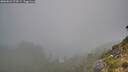 ./images/calvert/foggy-cove/20260821/foggy-cove20260821_074502M.jpg