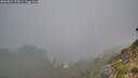 ./images/calvert/foggy-cove/20260821/foggy-cove20260821_075001M.jpg