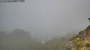 ./images/calvert/foggy-cove/20260821/foggy-cove20260821_075501M.jpg