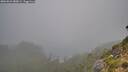 ./images/calvert/foggy-cove/20260821/foggy-cove20260821_080001M.jpg