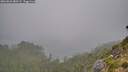 ./images/calvert/foggy-cove/20260821/foggy-cove20260821_080501M.jpg