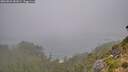 ./images/calvert/foggy-cove/20260821/foggy-cove20260821_081002M.jpg