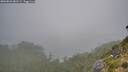 ./images/calvert/foggy-cove/20260821/foggy-cove20260821_081501M.jpg