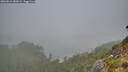 ./images/calvert/foggy-cove/20260821/foggy-cove20260821_082001M.jpg