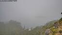 ./images/calvert/foggy-cove/20260821/foggy-cove20260821_082501M.jpg