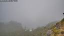 ./images/calvert/foggy-cove/20260821/foggy-cove20260821_083001M.jpg
