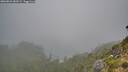 ./images/calvert/foggy-cove/20260821/foggy-cove20260821_083501M.jpg