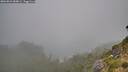 ./images/calvert/foggy-cove/20260821/foggy-cove20260821_084001M.jpg