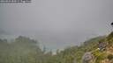./images/calvert/foggy-cove/20260821/foggy-cove20260821_084501M.jpg