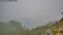 ./images/calvert/foggy-cove/20260821/foggy-cove20260821_085001M.jpg